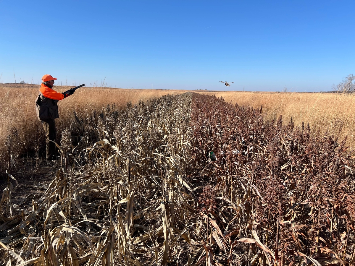 The Kansas Hunt of Your Dreams The Kansas Hunt of Your Dreams