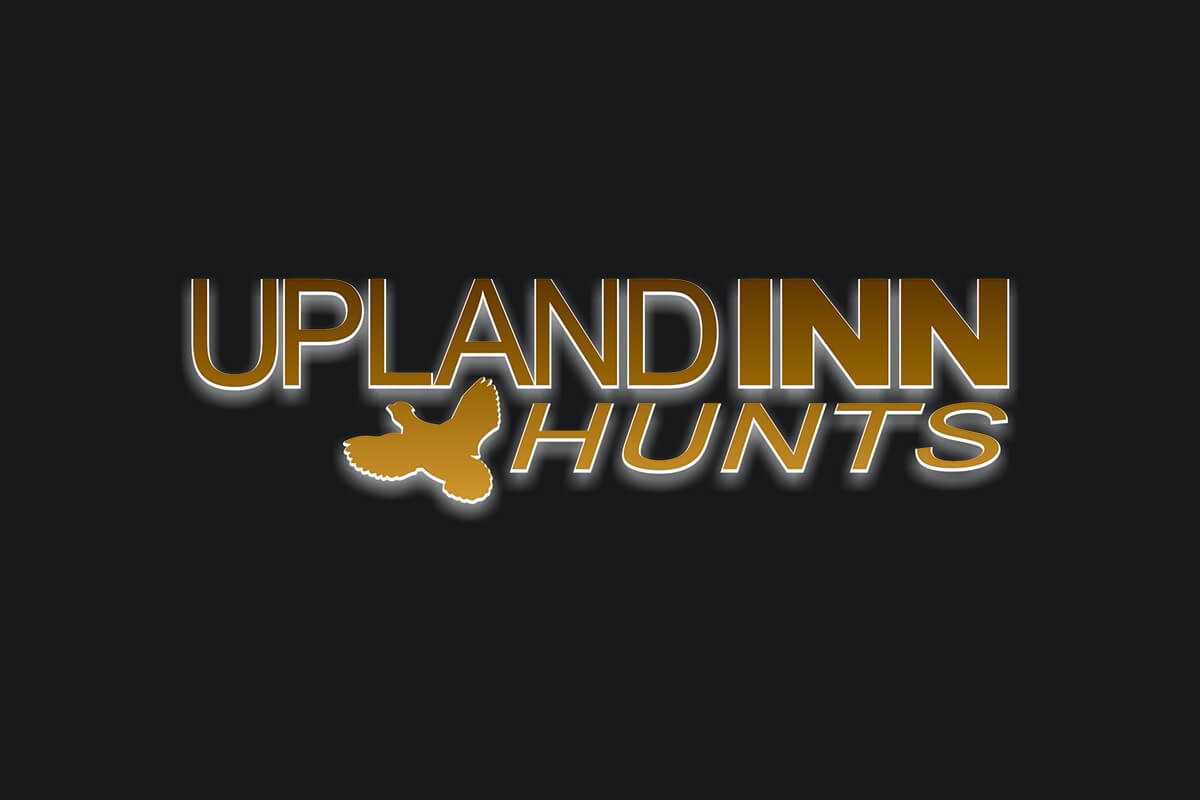 Logo Downloads