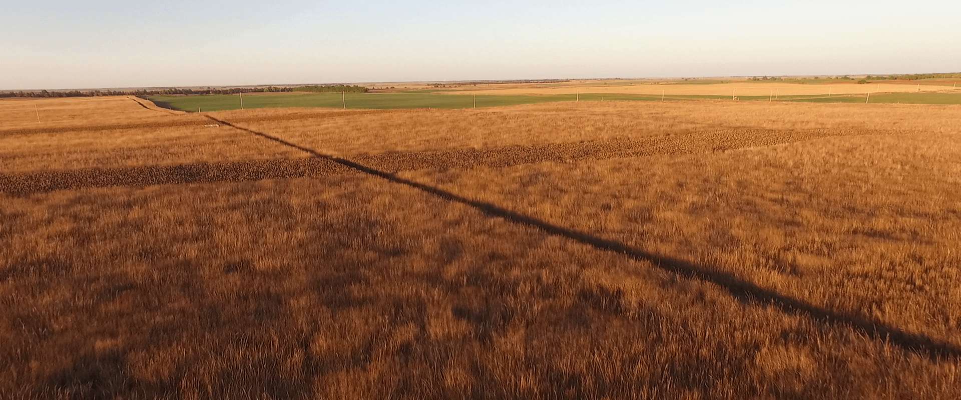 The Habitat at Upland Inn Hunts