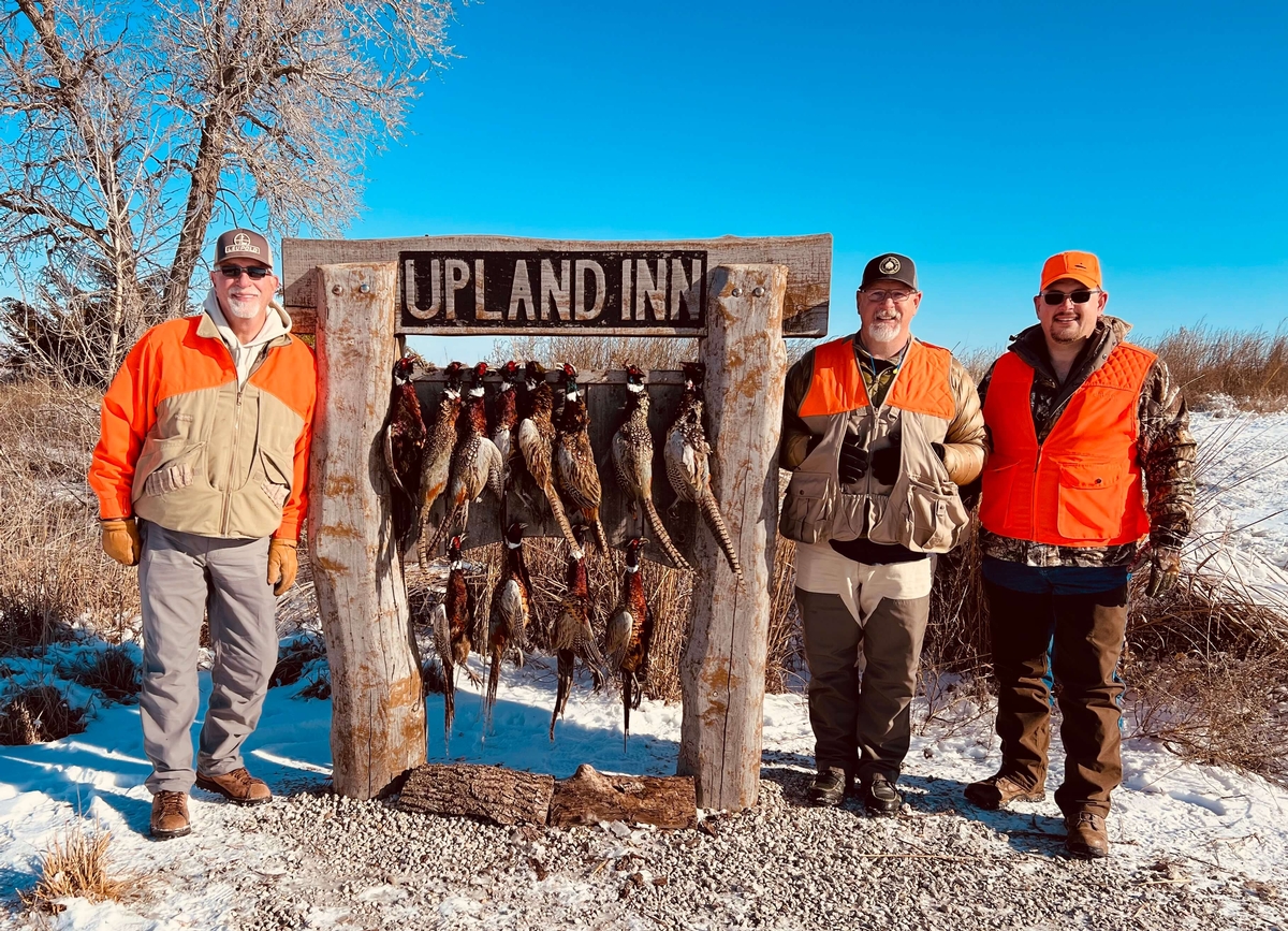 Your Typical Kansas Pheasant Hunt