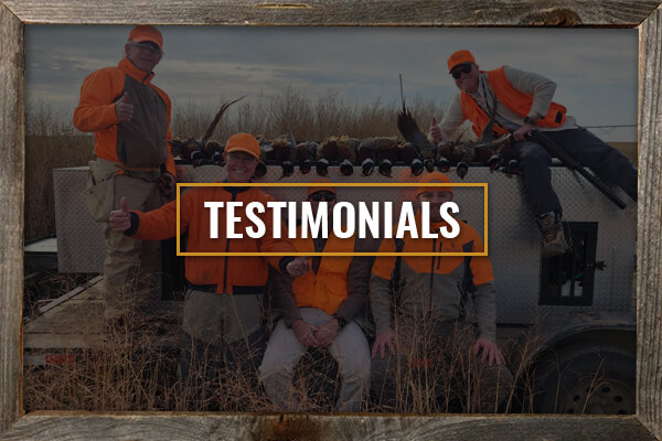 Testimonials Testimonials